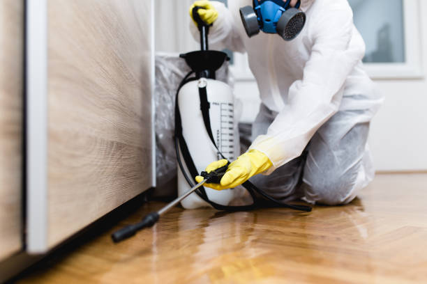 Best Best Pest Control Companies  in Blue Earth, MN