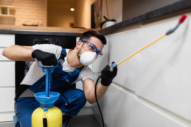 Best Pest Removal Services  in Blue Earth, MN