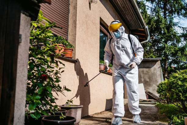 Best Pest Removal Services  in Blue Earth, MN