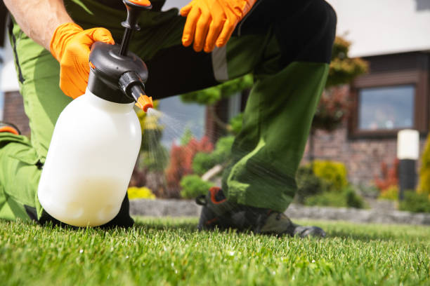 Best Wildlife Control Services  in Blue Earth, MN
