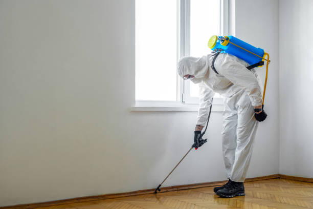 Best Mosquito Control Services  in Blue Earth, MN