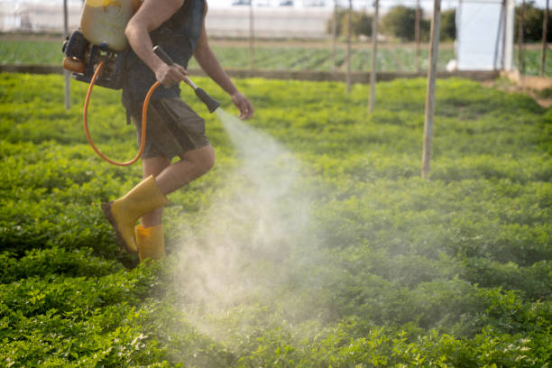 Best Best Pest Control Companies  in Blue Earth, MN