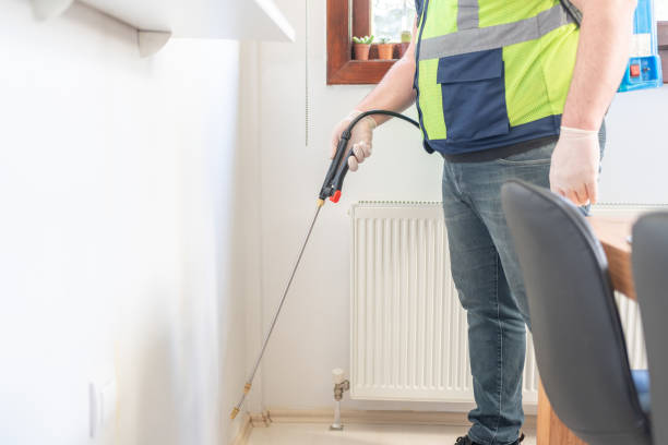 Best Local Pest Control Services  in Blue Earth, MN