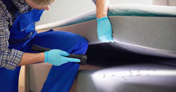 Best Emergency Pest Control  in Blue Earth, MN
