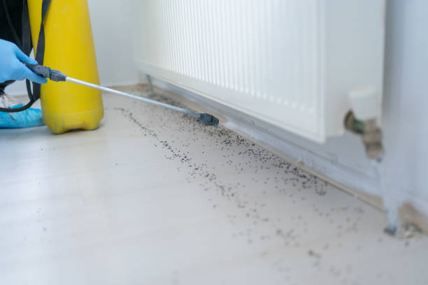 Trusted Blue Earth, MN Pest Control Experts