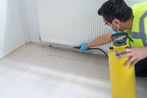 Best Mosquito Control Services  in Blue Earth, MN